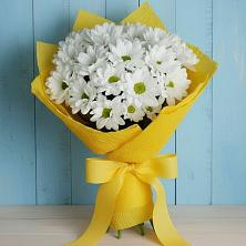 Букет цветов из:  Хризантемы в Кормиловке