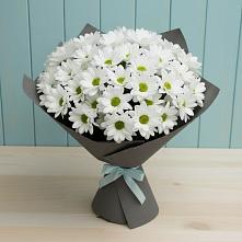 Букет цветов из:  Хризантемы в Кормиловке