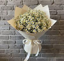 Букет цветов из:  Ромашки в Кормиловке