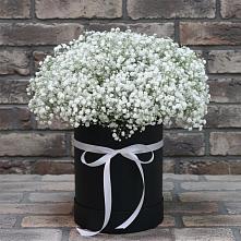 Цветочная композиция из Гипсофила в шляпной коробке в Кормиловке