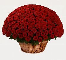 Премиум букет из: Розы #REPLACE_PRED# Кормиловке