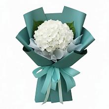 Букет цветов из:  Гортензия #REPLACE_PRED# Кормиловке